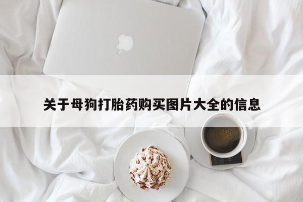 私人卖打胎药微信号,亲测有效！新闻 第104页